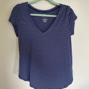 Blue Striped V-Neck